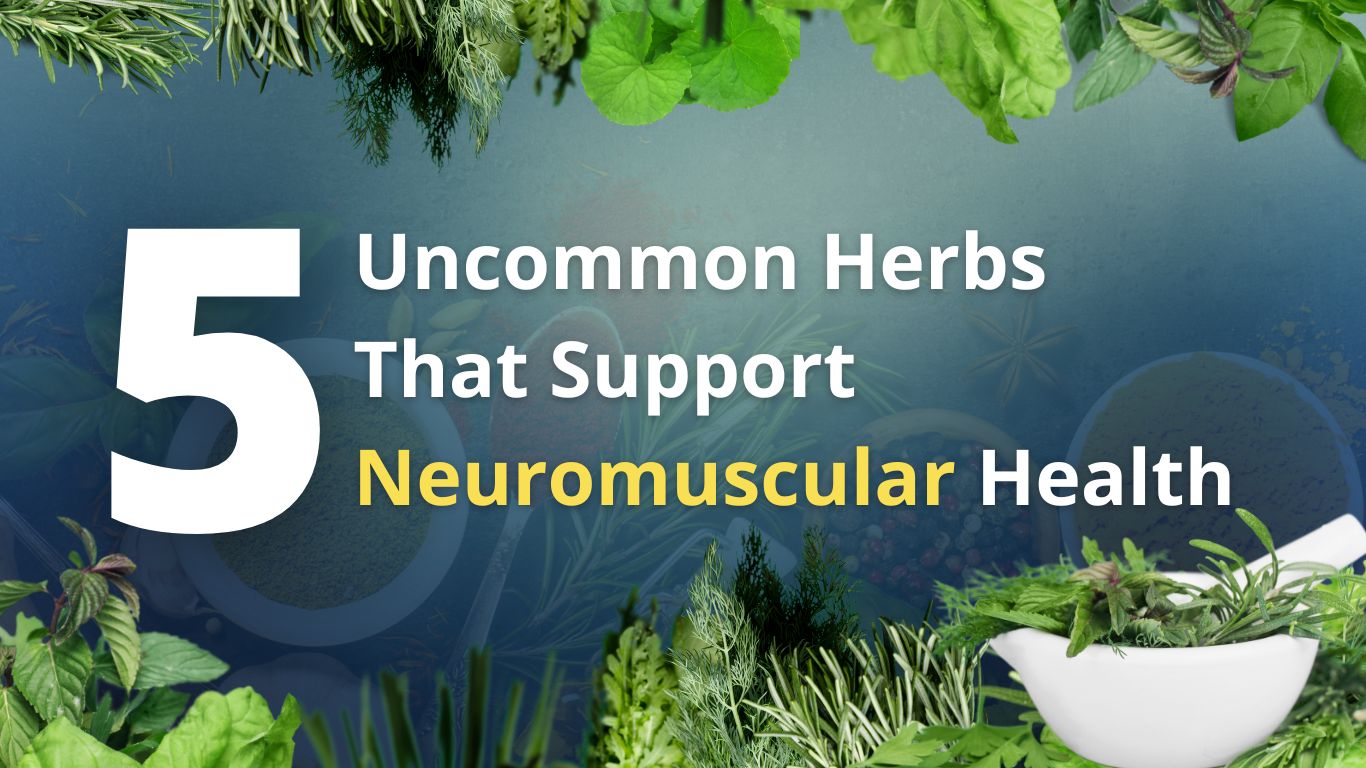 5 Uncommon Herbs That Support Neuromuscular Health